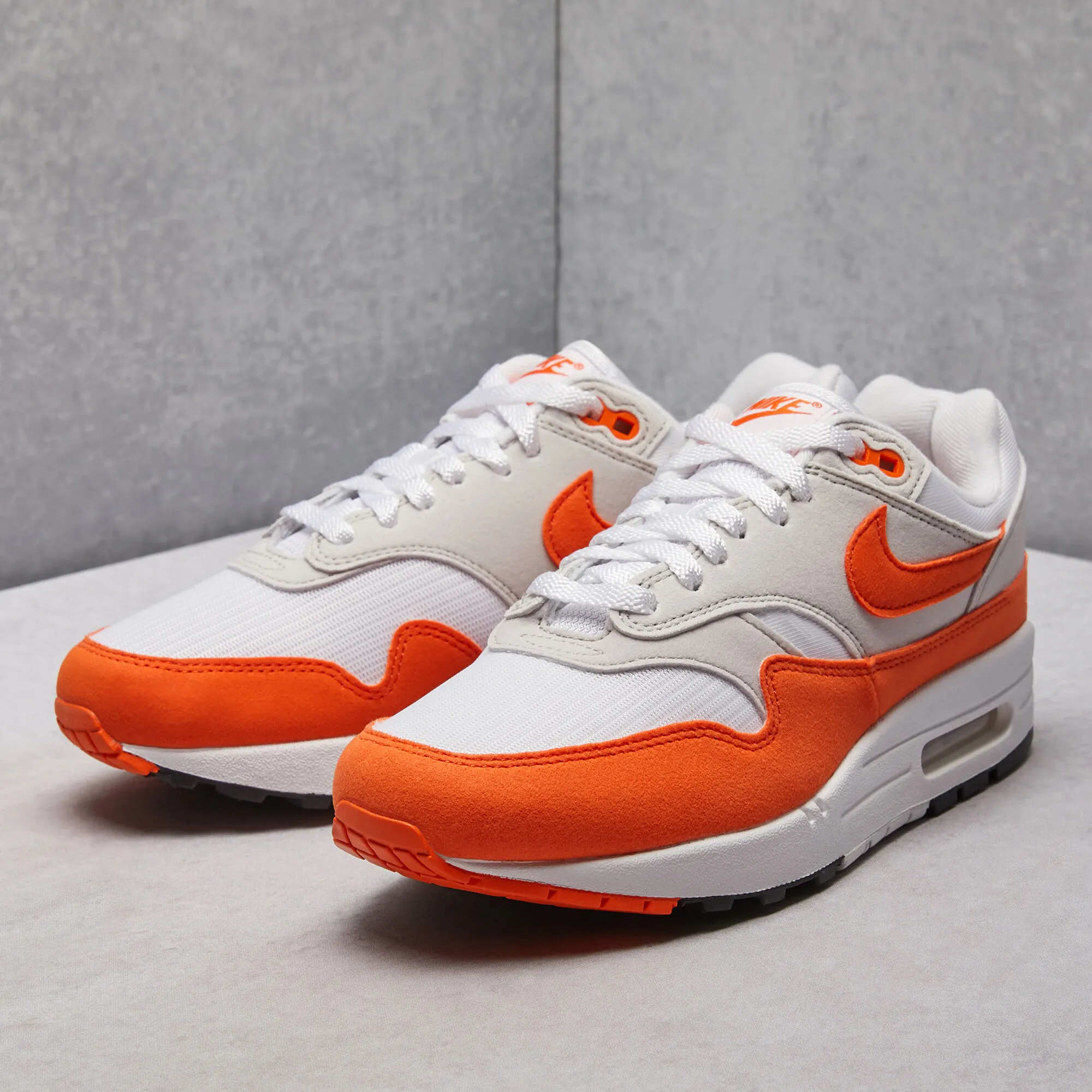 Nike Air Max 1 Shoes