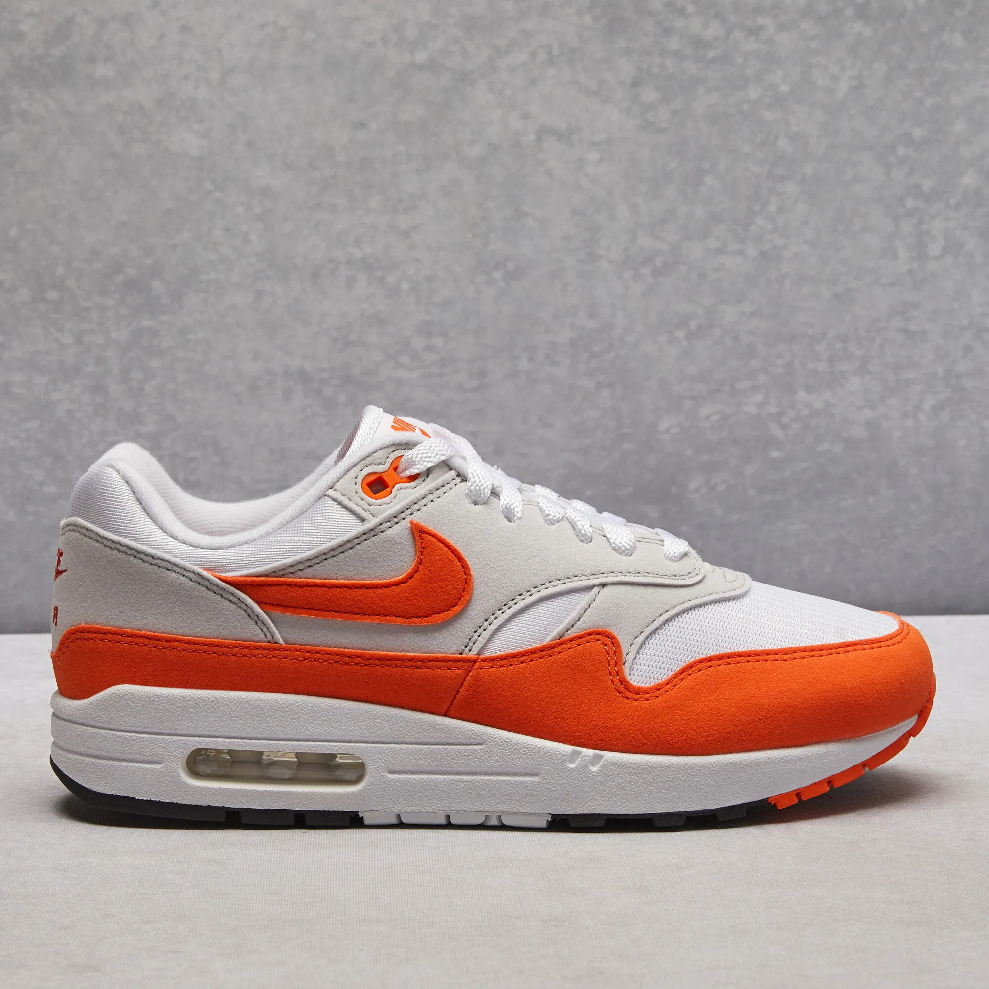 Nike Air Max 1 Shoes