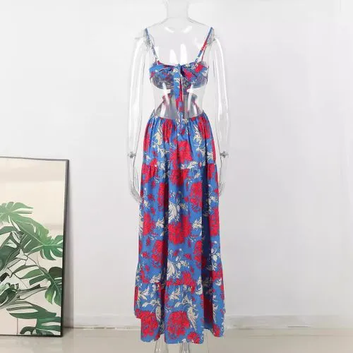 Women's Regular Dress Vacation Collarless Sleeveless Flower Maxi Long Dress Daily